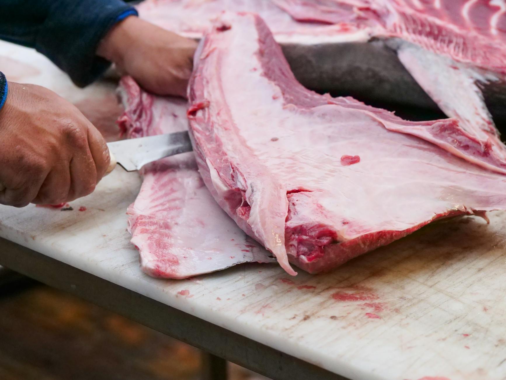 slicing of fresh raw tuna